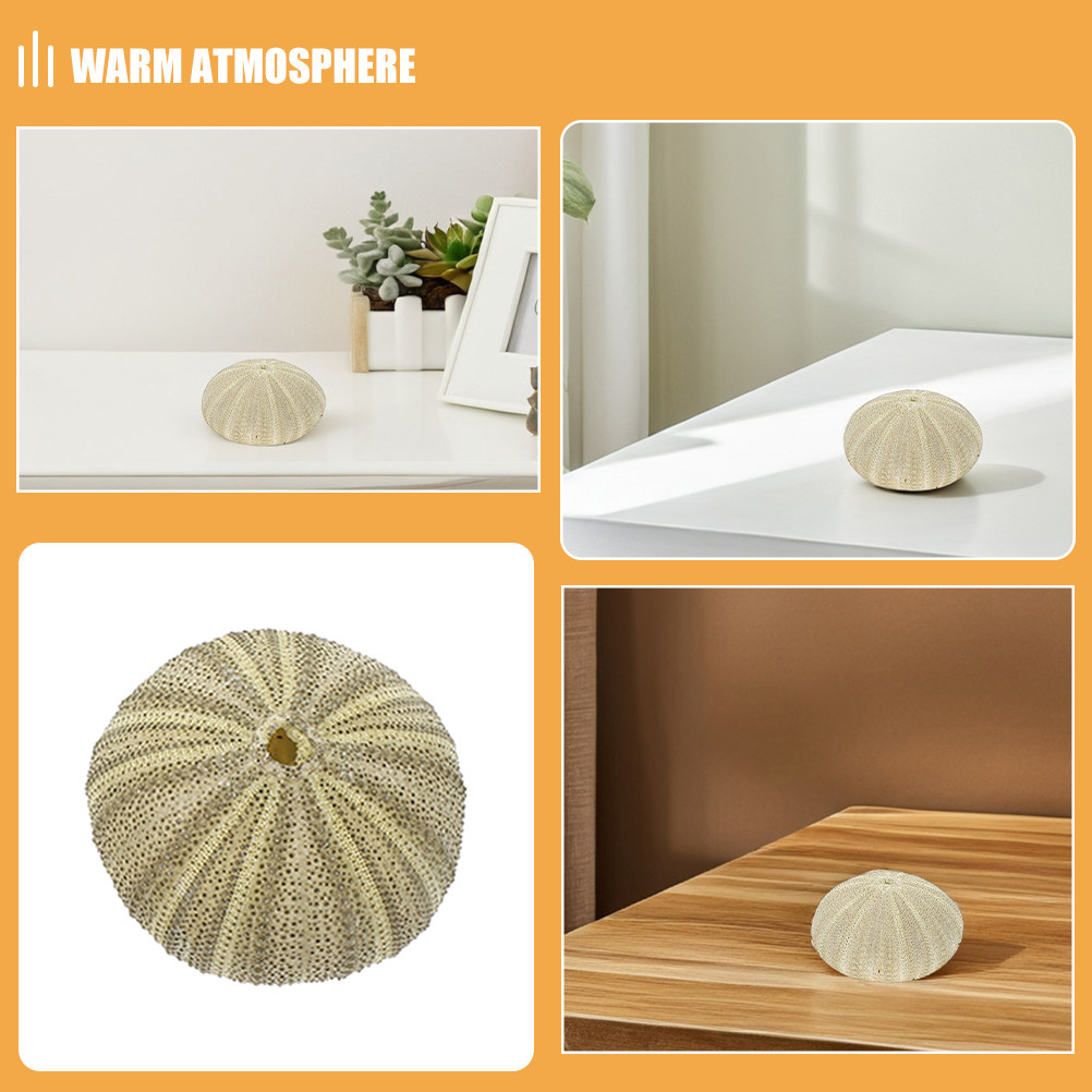 18Pcs Urchin Shells Vase Fille - Home Decor Vase ulasan dan harga