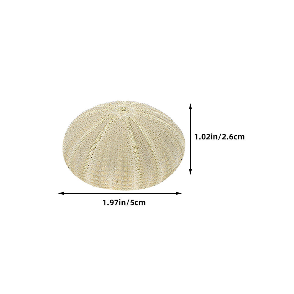 18Pcs Urchin Shells Vase Fille - Home Decor Vase ulasan dan harga