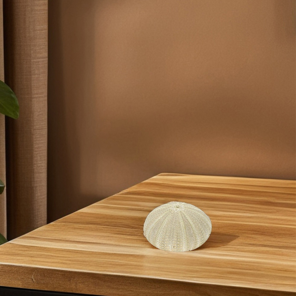 18Pcs Urchin Shells Vase Fille - Home Decor Vase ulasan dan harga