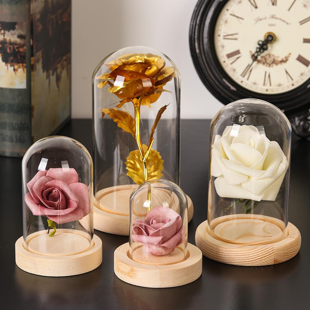 Home Decor Plants Jar Terrariu - Home Decor Vase ulasan dan harga