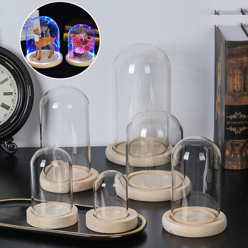 Fairy Lights Home Decor Terrar - Home Decor Vase ulasan dan harga