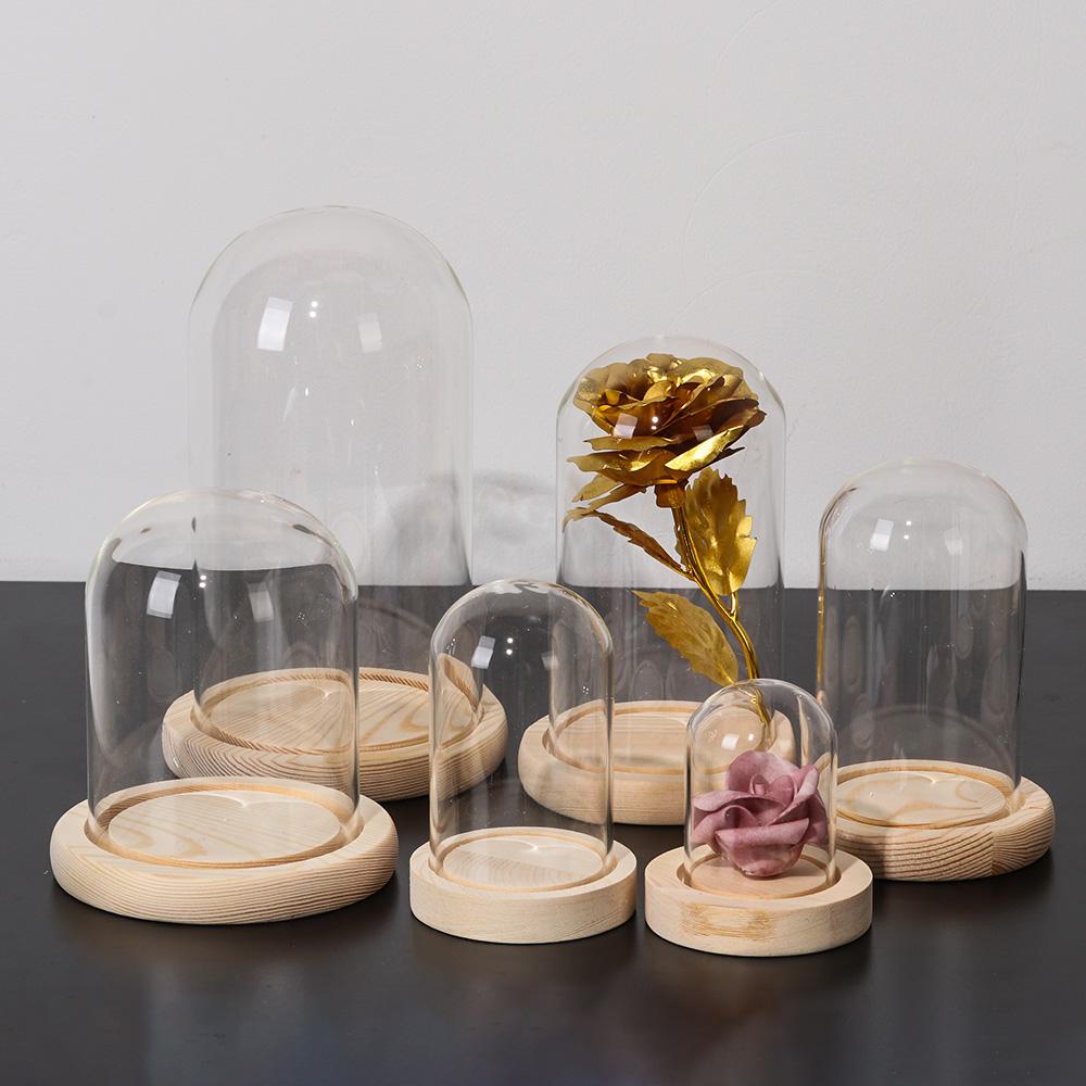 Fairy Lights Home Decor Terrar - Home Decor Vase ulasan dan harga